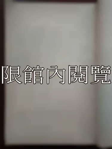 Ca2-009 台灣地方選舉