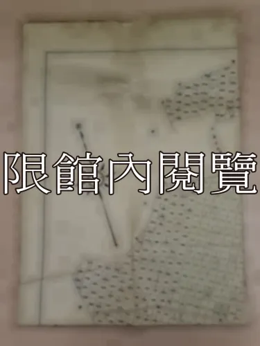 G-299 九袱洲全部分地計畫暨業戶王鴻禎抽定各則洲地位置圖