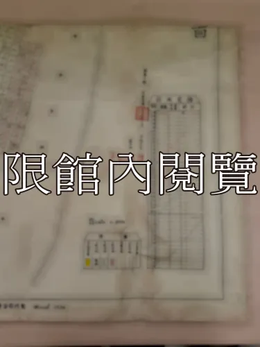 G-299 九袱洲全部分地計畫暨業戶王鴻禎抽定各則洲地位置圖